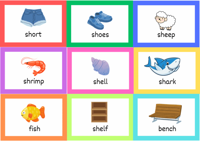 Digraph Words Cards - Image 15