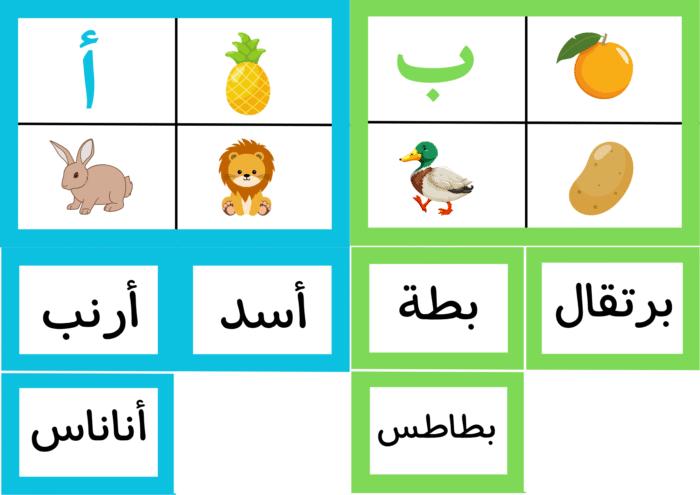 ﻧﺸﺎط ﻣﻄﺎﺑﻘﺔ اﻟﺼﻮرة ﺑﺎﻟﻜﻠﻤﺔ واﻟﺼﻮت - Image 15
