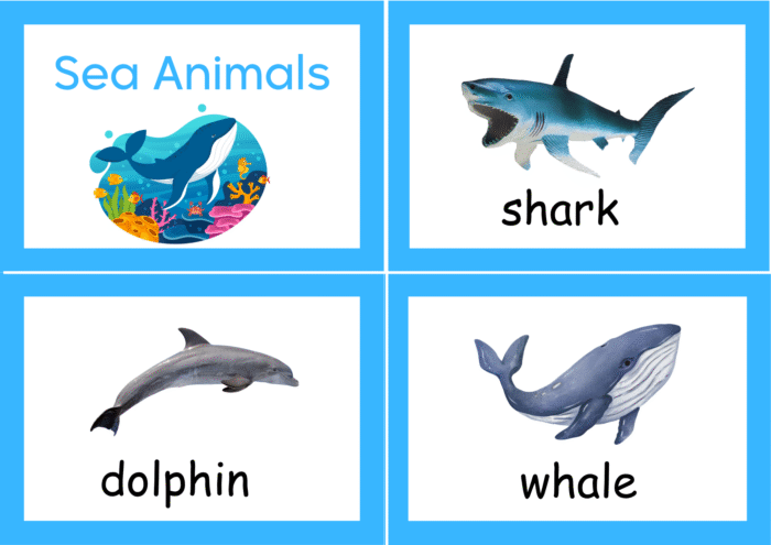 Sea Animals flash cards - Image 7