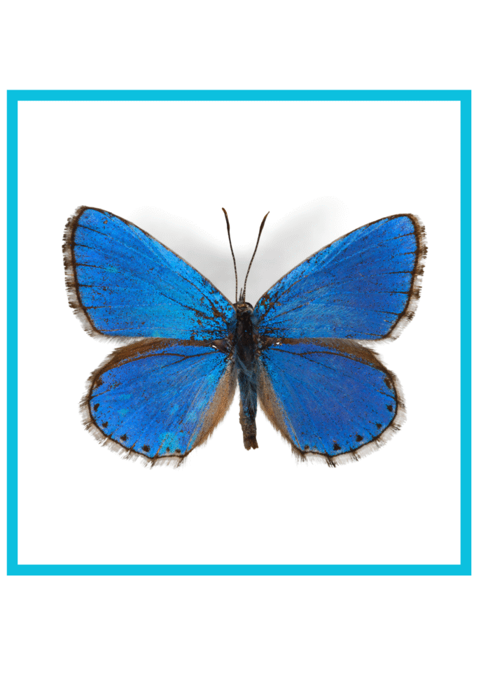 Large Two-Piece Puzzle Cards Tool - Image 23