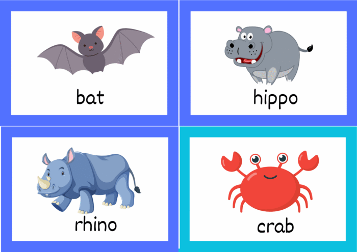 Animals Flash Cards - Image 13