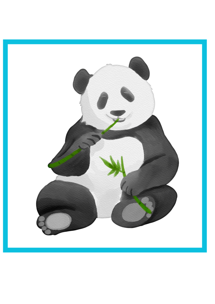 Large Two-Piece Puzzle Cards Tool - Image 13