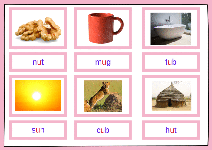 short vowels bog - Image 6