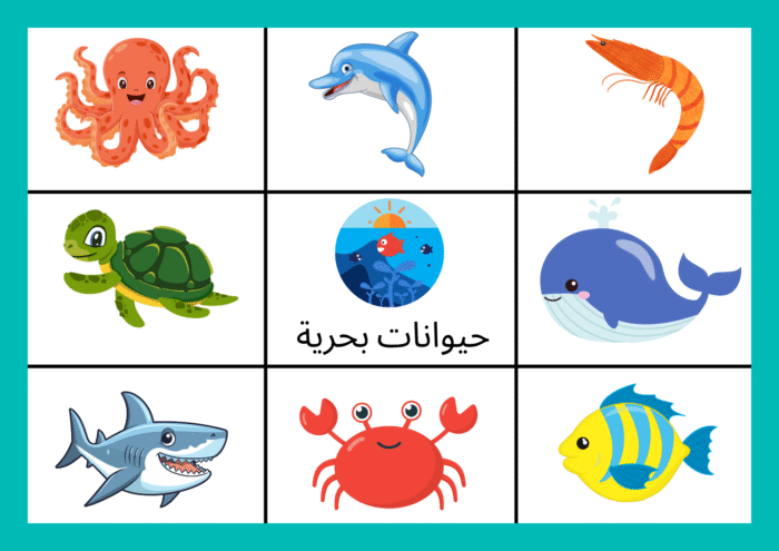 نشاط مطابقة الكلمات بالصور - Image 7