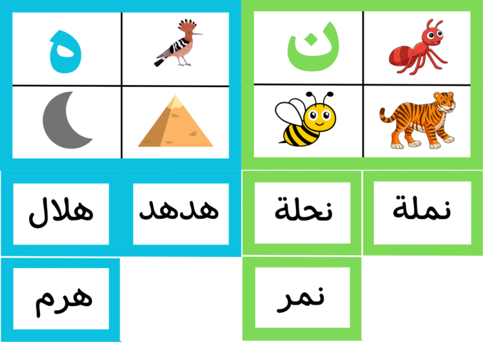 ﻧﺸﺎط ﻣﻄﺎﺑﻘﺔ اﻟﺼﻮرة ﺑﺎﻟﻜﻠﻤﺔ واﻟﺼﻮت - Image 3