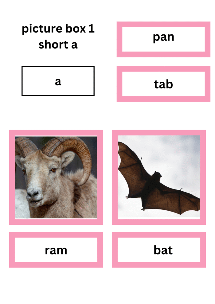 Pink picture boxes - Image 18