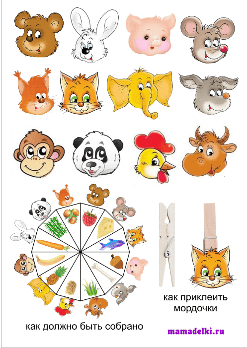 animales_comida