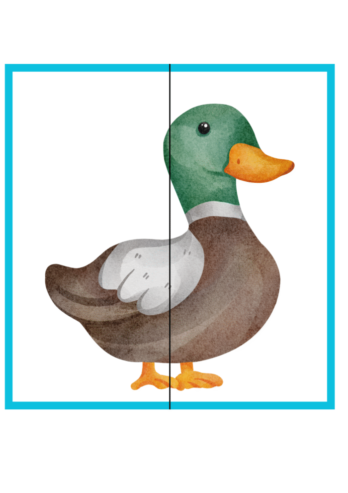 Large Two-Piece Puzzle Cards Tool - Image 8