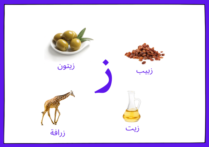ﺳﺠﺎﺟﻴﺪ اﻷﺻﻮات - Image 17