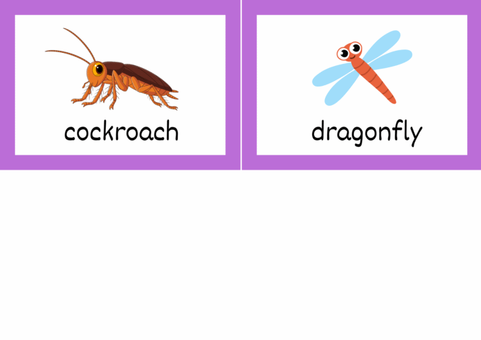 Animals Flash Cards - Image 20