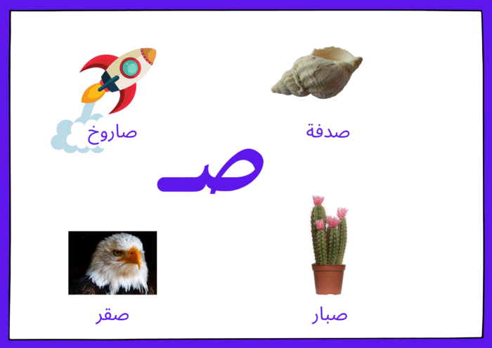 ﺳﺠﺎﺟﻴﺪ اﻷﺻﻮات - Image 15