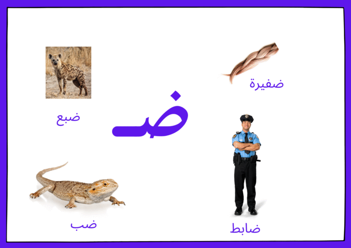 ﺳﺠﺎﺟﻴﺪ اﻷﺻﻮات - Image 14