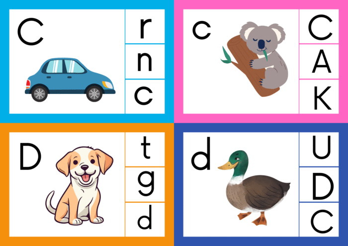 Uppercase and Lowercase Matching - Image 14