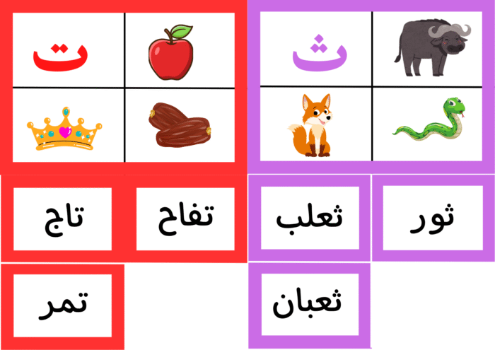 ﻧﺸﺎط ﻣﻄﺎﺑﻘﺔ اﻟﺼﻮرة ﺑﺎﻟﻜﻠﻤﺔ واﻟﺼﻮت - Image 14