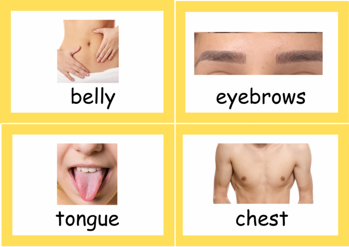 Body Parts flash cards - Image 7