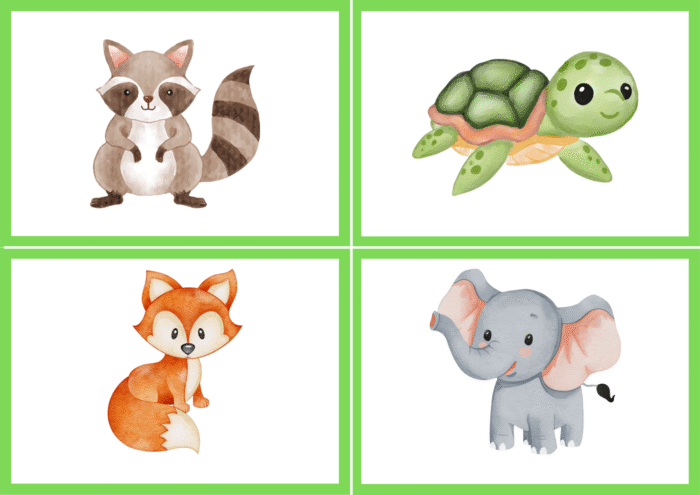Animal Card Matching Activity - Image 7