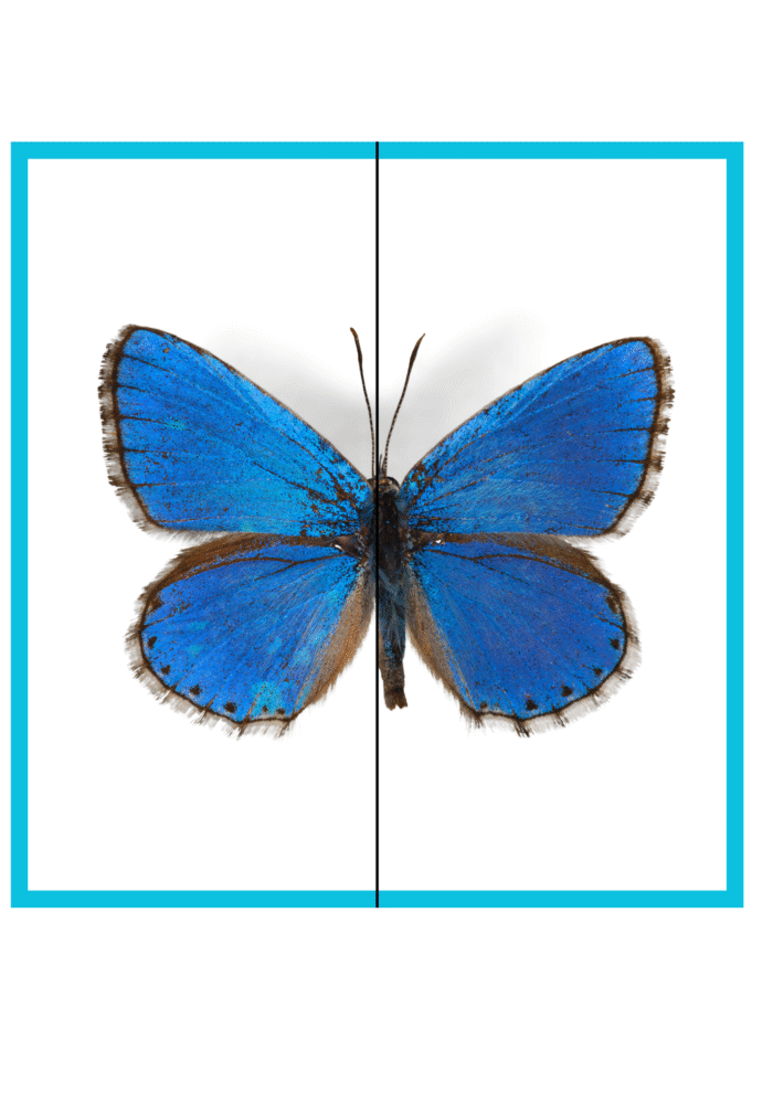 Large Two-Piece Puzzle Cards Tool - Image 22