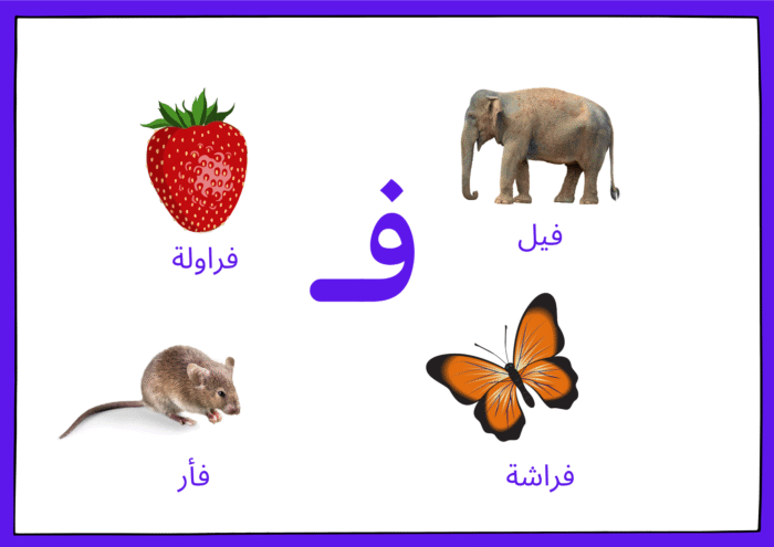 ﺳﺠﺎﺟﻴﺪ اﻷﺻﻮات - Image 8