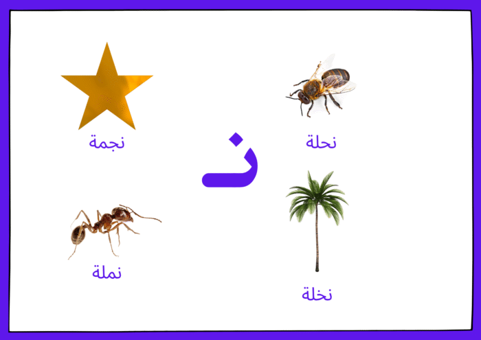 ﺳﺠﺎﺟﻴﺪ اﻷﺻﻮات - Image 6