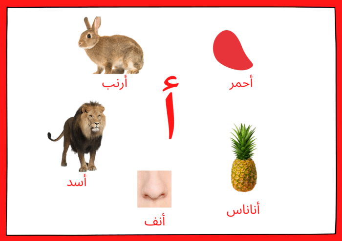 ﺳﺠﺎﺟﻴﺪ اﻷﺻﻮات - Image 29