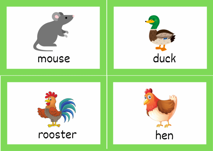 Animals Flash Cards - Image 17