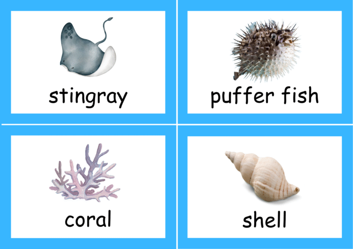 Sea Animals flash cards - Image 4