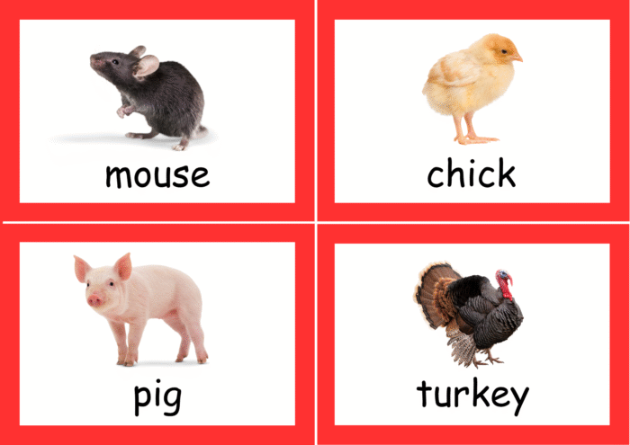 Farm Animals hash cards - Image 2