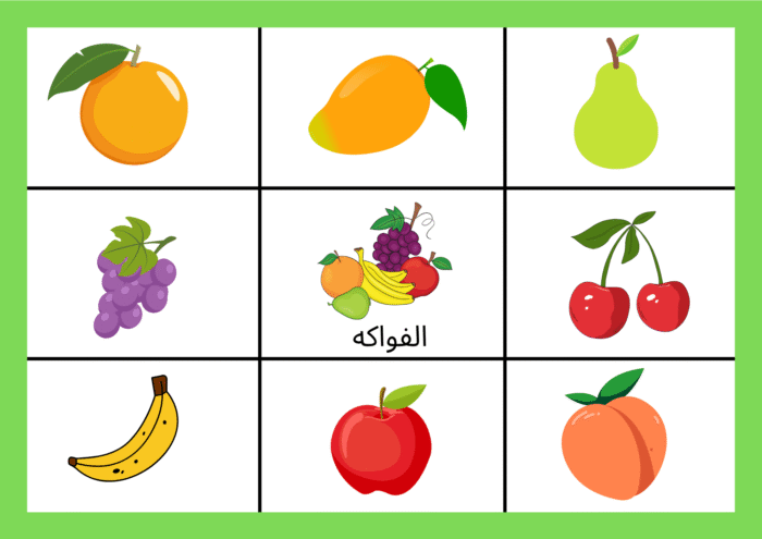 نشاط مطابقة الكلمات بالصور - Image 15
