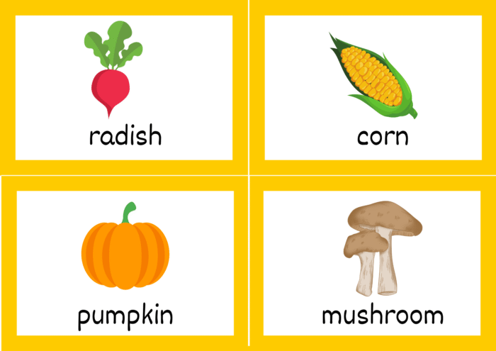 Fruits & Vegetables Flash Cards - Image 5