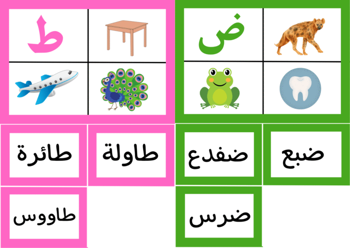 ﻧﺸﺎط ﻣﻄﺎﺑﻘﺔ اﻟﺼﻮرة ﺑﺎﻟﻜﻠﻤﺔ واﻟﺼﻮت - Image 8