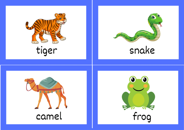 Animals Flash Cards - Image 4