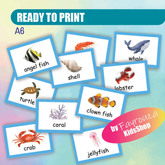 Sea Animals flash cards - Image 2
