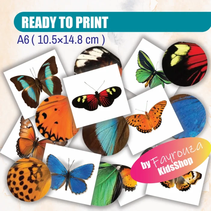 Butterfly Pattern - Image 2